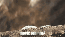 Peek Baby Yoda GIF - Peek Baby Yoda Movie Tonight GIFs