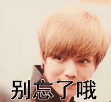 lu han dont forget remember