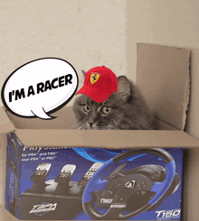 I Am Racer Cat In Box GIF - I Am Racer Cat In Box Cat GIFs