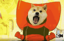 a dog wearing a cape with cn written on the bottom right