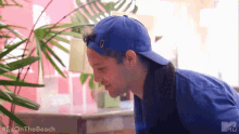 a man wearing a blue hat and a blue shirt is looking at a plant .
