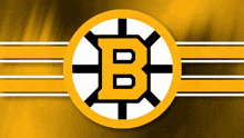 Boston Bruins Bruins Goal GIF