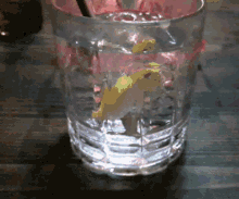 Gin Tonic Party GIF - Gin Tonic Party Wednesday GIFs