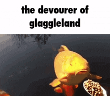 Glaggle Glaggleland GIF - Glaggle Glaggleland Fish GIFs