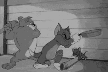 Spike Tom Jerry GIF - Tom And Jerry Cat Dog GIFs