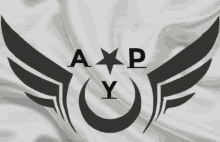 Ayp GIF - Ayp GIFs