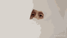 a person is drawing a face with a brush and the words made in animotica are visible