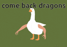 Come Back Dragons We Miss You GIF