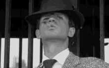 The Belmondo GIF - Godard Breathless Jean Paul Belmondo GIFs