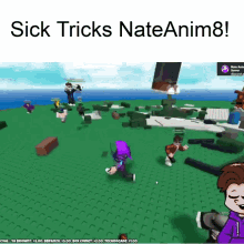 Nate Nateanim8 GIF - Nate Nateanim8 Sick Tricks GIFs