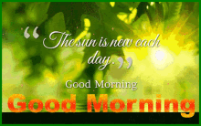 Good Morning Good Day GIF - Good Morning Good Day Plants GIFs