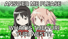 two anime girls are standing next to each other with the caption " answer me please what is the yuri yuri west ?? "
