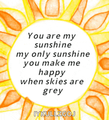 a drawing of a sun with the words " you are my sunshine "