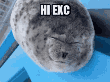 Exc Ponsuke GIF - Exc Ponsuke Seal GIFs