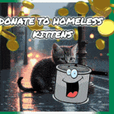 a picture of a kitten and a pot with the words donate to homeless kittens