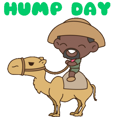 Hump Day Camels Sticker - Hump Day Camels Wednesday Stickers