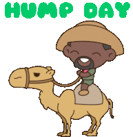 Hump Day Camels Sticker - Hump Day Camels Wednesday Stickers