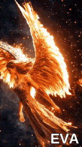 a woman with flaming wings and the name eva