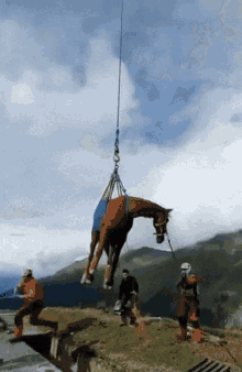 Horse Fly GIF - Horse Fly GIFs