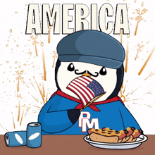 usa america flag fireworks penguin