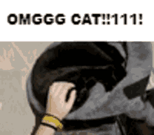 Omg Cat Cat Pat GIF - Omg Cat Cat Pat Pat The Cat GIFs