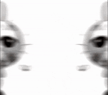 a drawing of a rabbit with a smiley face on its face