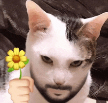 a cat with a beard is holding a flower in front of its face .