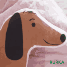 Rurka Pies Pies Ignasia GIF - Rurka Pies Pies Ignasia Rurka Ignasia GIFs
