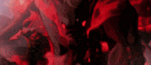 a close up of a person 's face with a red background