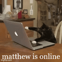 Matthew Online GIF - Matthew Online Discord GIFs