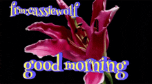 a picture of a pink flower with the words " good morning " below it