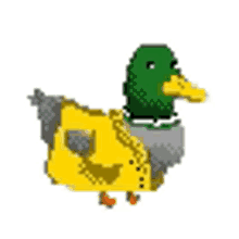 coincoin duck quack canard couac