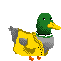Coincoin Duck Sticker - Coincoin Duck Quack Stickers
