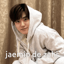 Jaemin De Zahi Jaemin De Anto GIF - Jaemin De Zahi Jaemin Jaemin De Anto GIFs