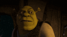 shrek from the movie shrek is looking at the camera with a surprised look on his face