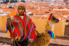 Llama Peruana GIF - Llama Peruana GIFs