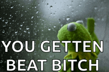 a kermit the frog looking out a window with the words you getten beat bitch above him