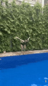 a dog is jumping into a swimming pool