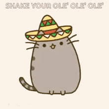 Ole Ole Ole Pusheen GIF - Ole Ole Ole Pusheen Cat GIFs