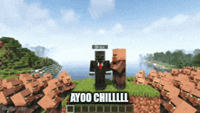 a skeleton and a villager in a minecraft scene with the words ayoo chillll written on the bottom