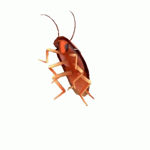 Cockroach GIFs | Tenor