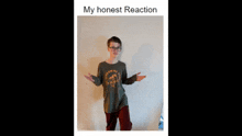 My Honest Reaction My Honest Reaction Meme GIF - My Honest Reaction My Honest Reaction Meme Honest GIFs
