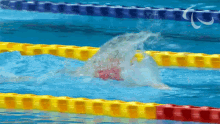 Swimming Bethany Firth GIF