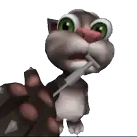 a cat holding a syringe in its mouth