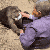 a man in a purple jacket feeds a monkey