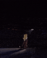 a woman is standing on a stage in front of a crowd