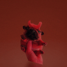 Dog Frenchie GIF - Dog Frenchie Paint 3d GIFs