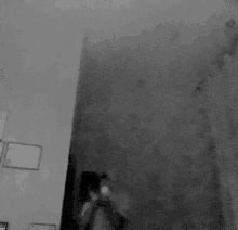 a black and white photo of a person taking a picture of themselves