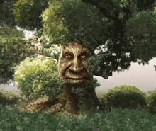 a tree with a face carved out of it
