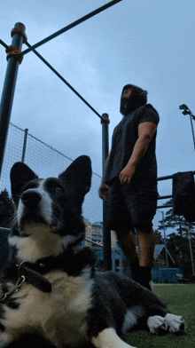 a man standing next to a black and white dog on a field